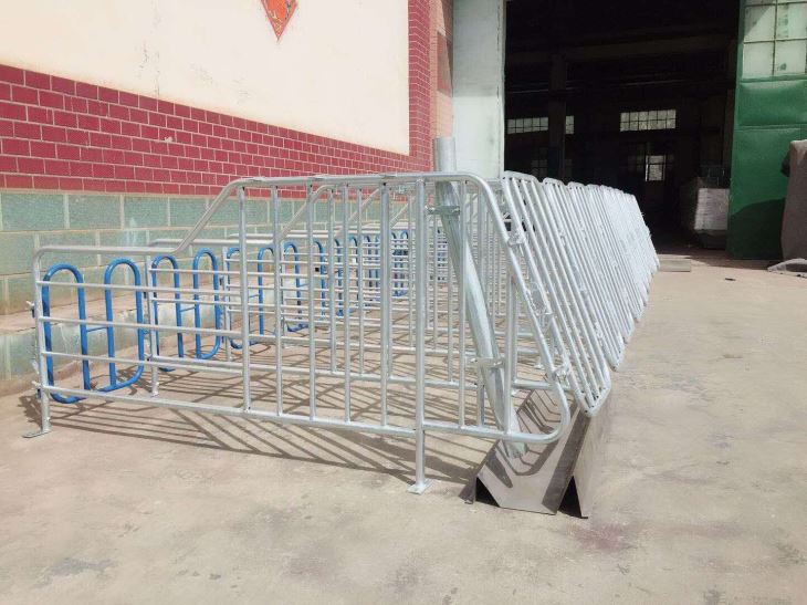 Arka të gestacionit të derrit nga shengxin